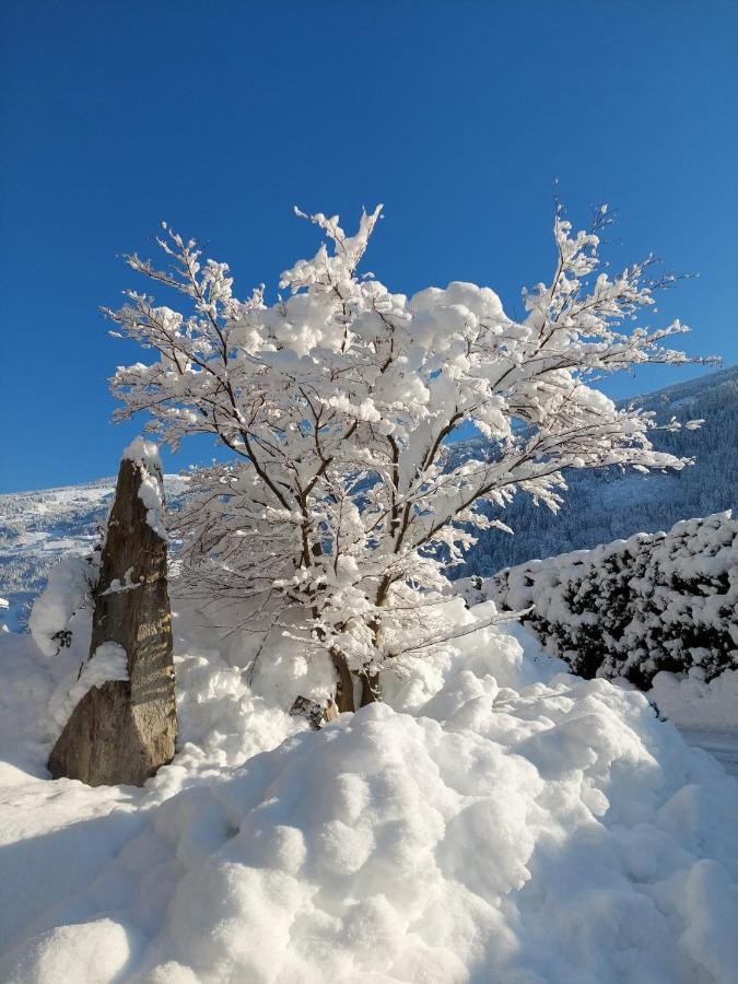 Apart Dahuam Aschau Im Zillertal 外观 照片